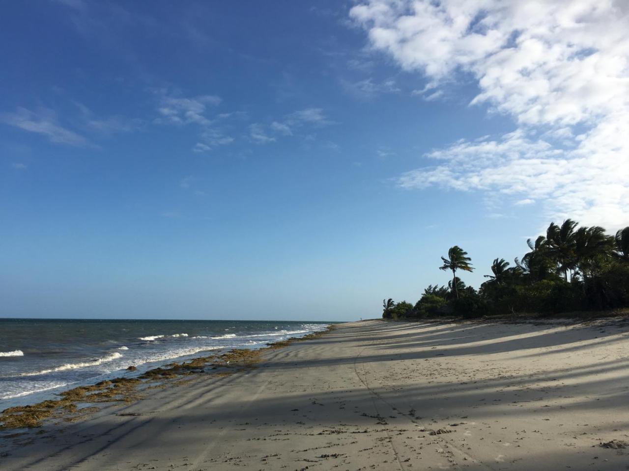 Emayani Beach Lodge Pangani Экстерьер фото